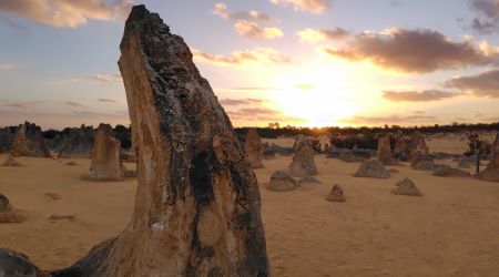 ���ƤΥѡ�����ǯ�ۤ��ʤ���2_2025ǯ12��26���ԥʥ��륺 ���󥻥åȡ������Ѿ� �ĥ�����