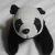ぱんぱんさん 写真