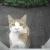 kitty-chanさん 写真