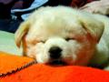 hana☆☆☆