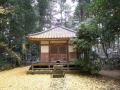 mshayashi