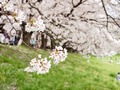 uemachi