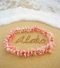 Aloha-mayuさん 写真