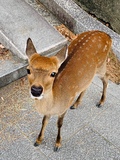 tamuさん 写真