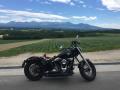 softail さん 写真