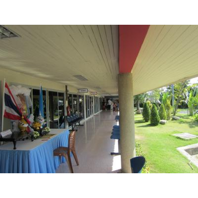 ��ʪ��ü�ξ��Ƿ��������ԡ����Ƥ���ޤ�����ͭ����