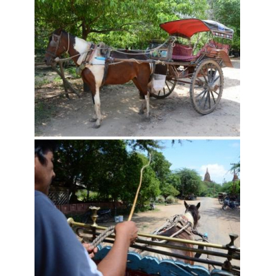 Хλϼ֡Ԥ٤ʤ˺¤Ȥ褷