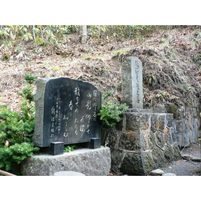 �����ǤΤ�����ͤ���¸�ԡ��Ӿ���ͺ����