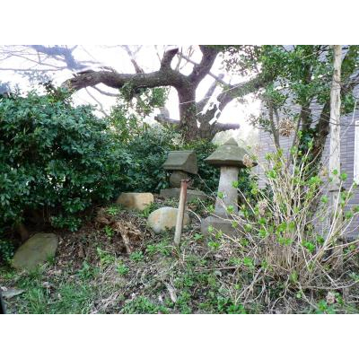 �¼��ȿ߻Ҳ������졦���ݤ�㫤ä�����������