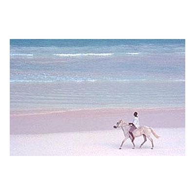 ピンクサンドビーチ ハーバーアイランド By バースさん バハマのクチコミ フォートラベル