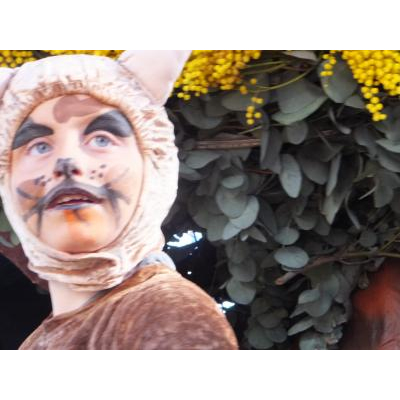 ǯΥơޤϥ˥ޥ롣ᥤⴰʤӤäѥեޡ