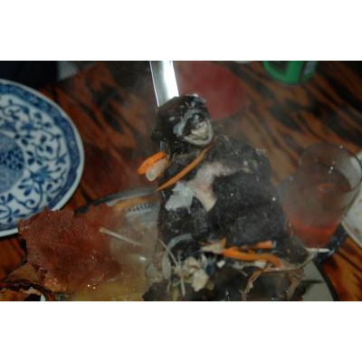 コウモリのスープはおいしかった By Jjq3さん パラオのクチコミ フォートラベル