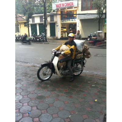 졢̤˥ѥåĥѥåĥ󤸤ʤեġǤ