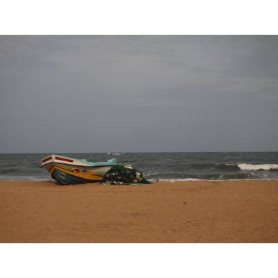 ӡäȤäȤƤ롣󥪥դ餫⡣