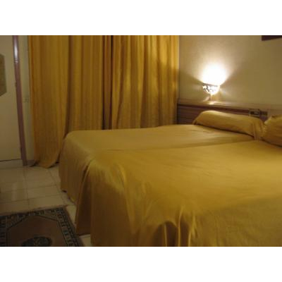 �����åפ��֤�˺�줿���ݽ����Ƥ���Ƥ����ޥ饱����Υ��ߥ��