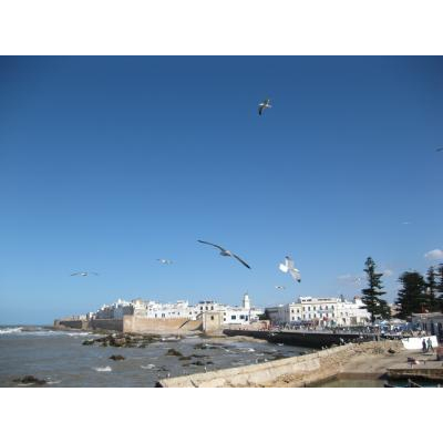 ŷ�����ɤ��ä���