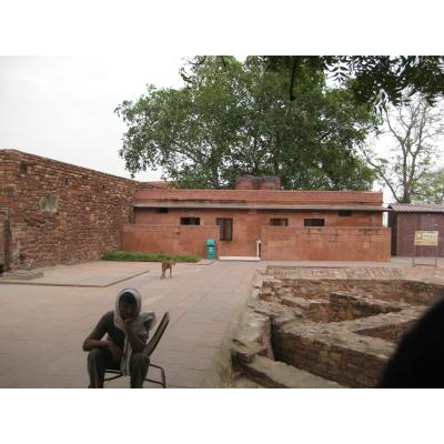 �ե��ƥ����ץ롦���������꡼�������ˤ���ȥ���