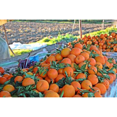 ����󥸲���