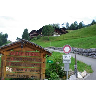 ηʪܤƤơ줾ƻؤǱĶȤƤ롣