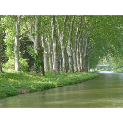 �ߥǥ����Ϥ�����