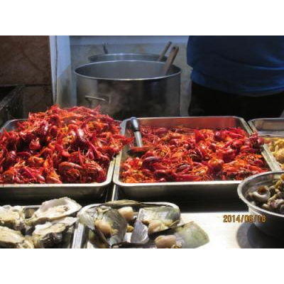 ���ꥬ�ˤ��ܿ����Ƥ��ޤ���