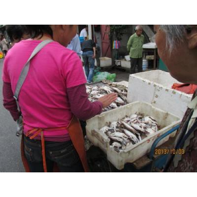 ��ؤˤʤä��峤��