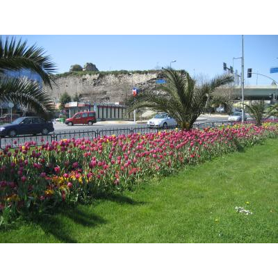 ���̤�����ʬΥ�Ӥˤ���塼��åפ���