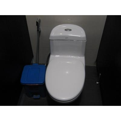 �ѡ�������ɴ��Ź�Υȥ���