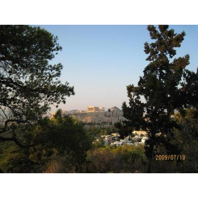 �ե����ѥݥ��ε֤��鸫���������ݥꥹ�ȥꥫ�٥ȥ��ε�