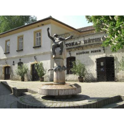 �ȥ���¼���濴���ˤ���磻����Ҽ�˶���Ĥ������������