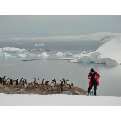 Ӥäˤʤʤε֤夬äƹԤޤ