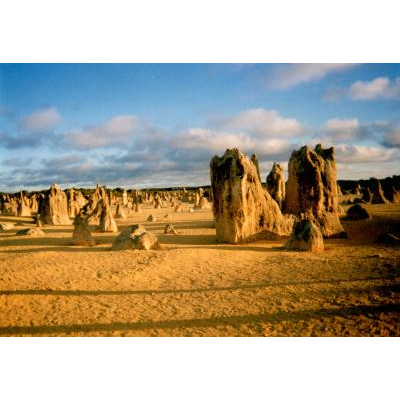 󥻥åȤΥԥʥ륺ϸդФʤ̥ۤޤ