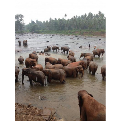 ݤθɻꤤβ꤬ƾ˼򸫤Ƥޤ