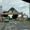 �ƥ�Ӥ�ι���Ȥ��Τä�530ǯ��³��ī��