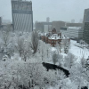 ī���鳤�����äפ��ī���ӥ�åե����ڤ���롢���ʻ��ڤΥӥ��ͥ���