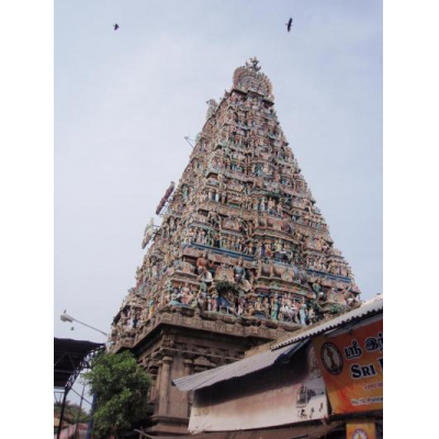 ͭ̾ʥҥ󥺡Ǥ餷ޤǤ