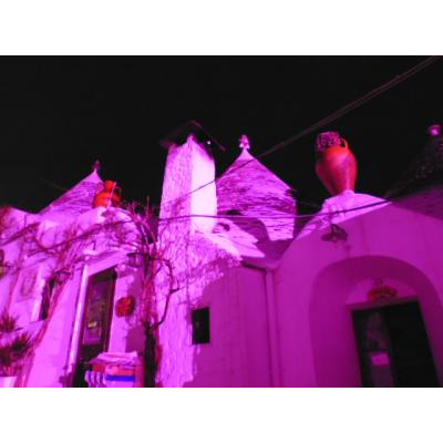 ����٥��٥å�