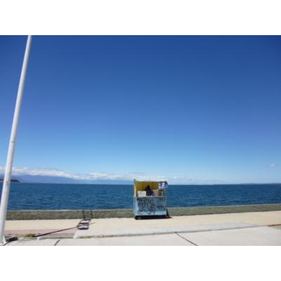 �ץ���ȥ��γ�