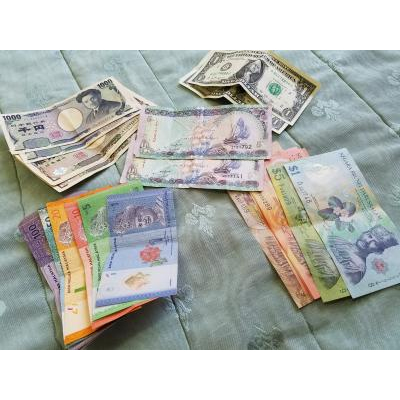 興味本位でブルネイドルに両替 実際はシンガポールドルでOK』by