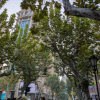 ���ܤˤʤ�Ź����������