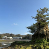 �ʿ��⤪�����ⲹ����ڤ���뤪�ɤǤ�