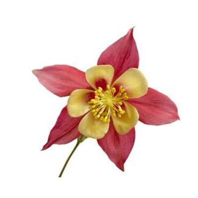 �Х���Υ��ѻ���