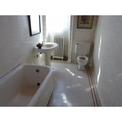 �������������ޤΥȥ���(Ÿ����)�����ѽ����ȥ�����̤�ͭ��