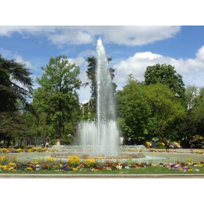 ���ʤϲ��䤫�ʥȥ����롼������