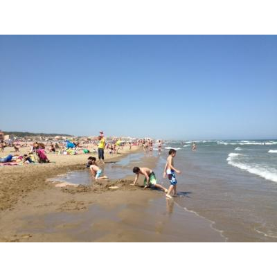 �ʥ�ܥ�̤γ���