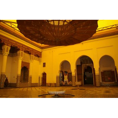 ޥ饱ʪۡˬˤϥȥ˴Τ˺줺ˡ