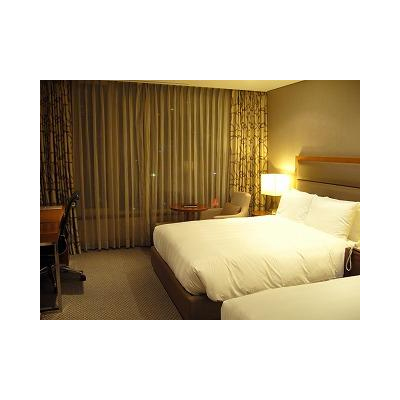 �٥åɥᥤ�����Υ��åפ����פʤϤ��Ǥ�