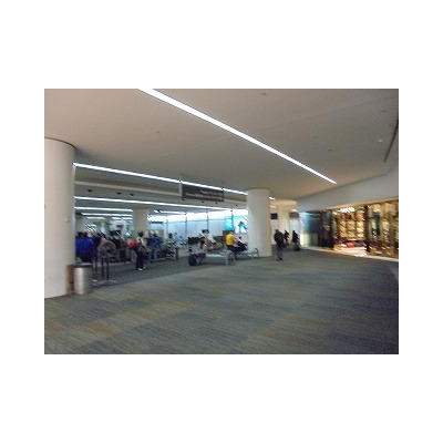 �����μ��ʪ������