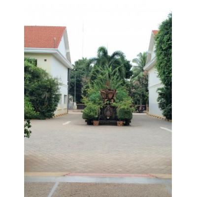 ޥǥ󥳡꥾ȡѤοͤϱηʪξؽ