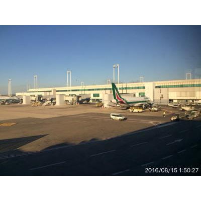 �緿�������ߤ���